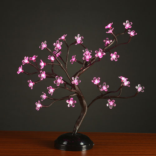 Pink lighted blossom bonsai